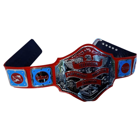 RAY'S NWA television world wrestling champion Replica Belt