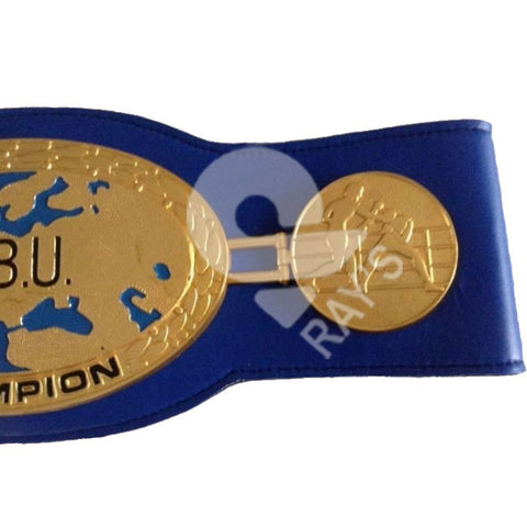 RAY'S EBU CHAMPIONSHIP REPLICA BELT ADULT SIZE