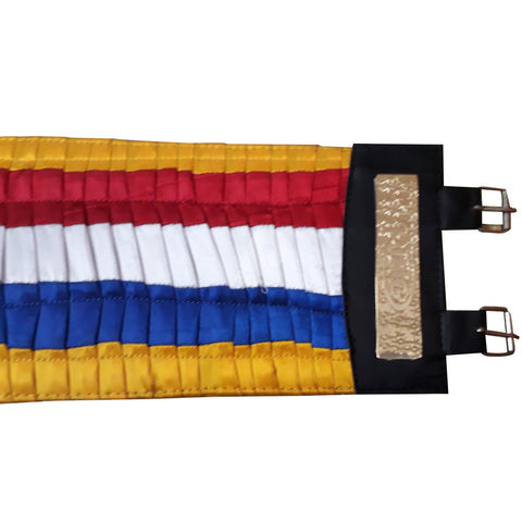 RAY'S Ring Magazine MIKE TYSON world heavyweight champion Replica Belt Adult Size