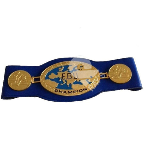 RAY'S EBU CHAMPIONSHIP REPLICA BELT ADULT SIZE