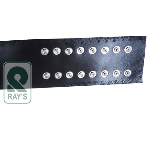 RAY'S FLORIDA HEAVYWEIGHT WRESTLING CHAMPION REPLICA BELT ADULT SIZE