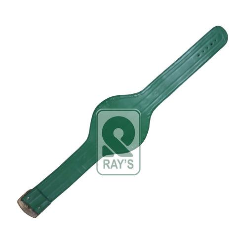 RAY'S WBC USNBC WORLD USA CHAMPIONSHIP REPLICA BELT ADULT SIZE