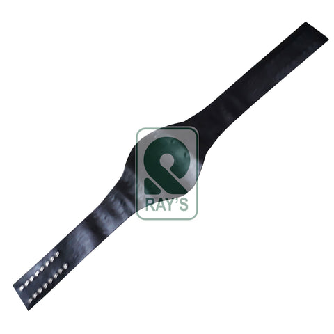 RAY'S FLORIDA HEAVYWEIGHT WRESTLING CHAMPION REPLICA BELT ADULT SIZE