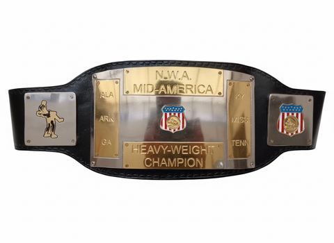 RAY'S NWA CHAMPIONSHIP REPLICA BELT