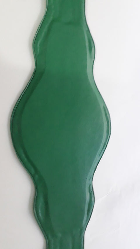 RAY'S WBC CONTINENTALCHAMPIONSHIP REPLICA BELT ADULT SIZE