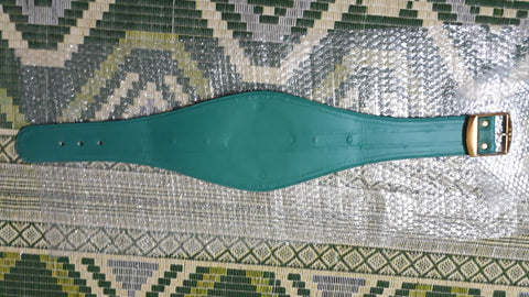 RAY'S WBC MINI CHAMPIONSHIP REPLICA BELT