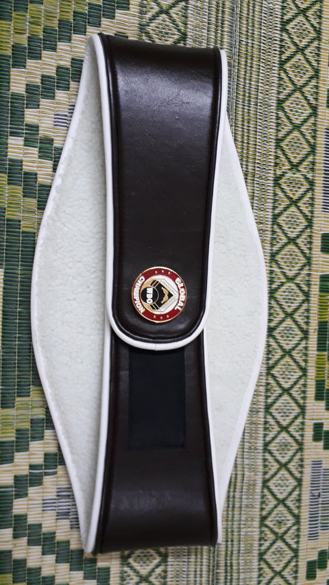 RAY'S WBO SUPER WORLD CHAMPION REPLICA BELT ADULT SIZE