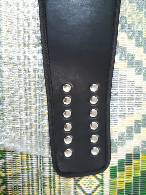 RAY'S WORLD WFMC CHAMPIONSHIP REPLICA BELT ADULT SIZE