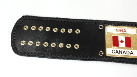 RAY'S NWA DOME WORLDS HEAVYWEIGHT CHAMPION REPLICA BELT