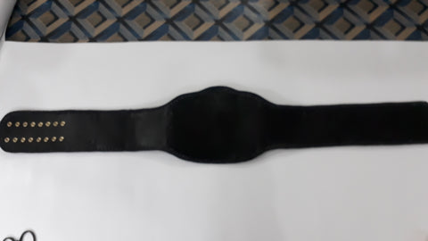 RAY'S NWA DOME WORLDS HEAVYWEIGHT CHAMPION REPLICA BELT