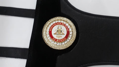 RAY'S WBA SUPER CHAMPION SPECIAL REPLICA BELT, ADULT SIZE