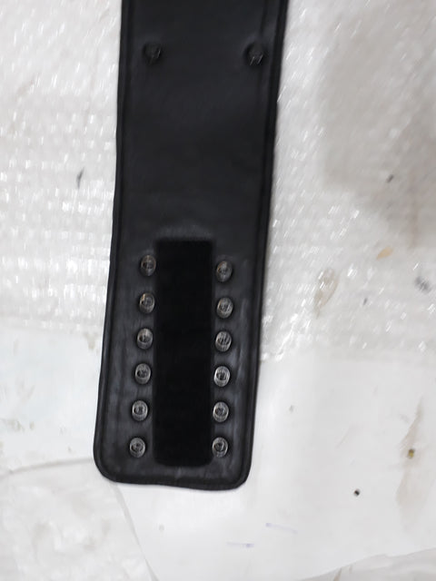 RAY'S PRIDE LIGHTWEIGHT CHAMPIONSHIP REPLICA BELT ADULT SIZE