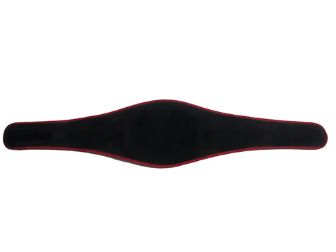 RAY'S WORLD KICK BOXING CHAMPIONSHIP REPLICA BELT ADULT SIZE