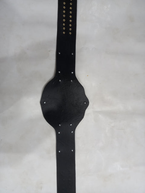 RAY'S World Heavyweight Championship Big gold REPLICA BELT