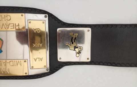 RAY'S NWA CHAMPIONSHIP REPLICA BELT