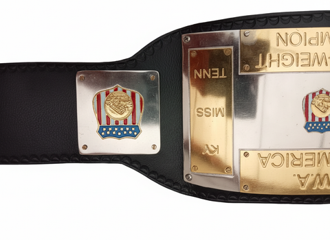 RAY'S NWA CHAMPIONSHIP REPLICA BELT