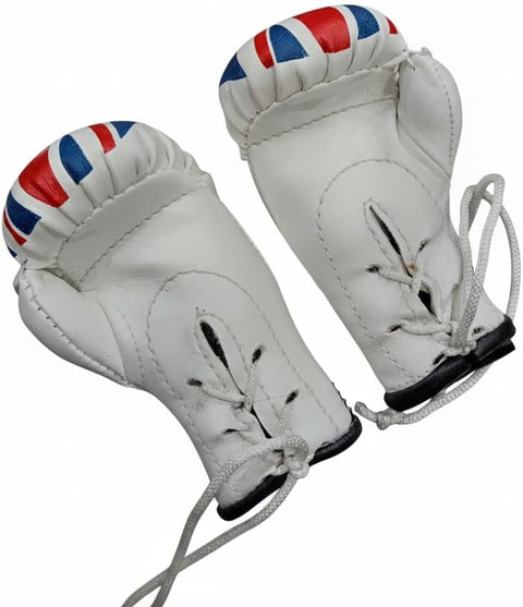 Costum Made Hanging Chain Boxing Gloves for PERMOTIONS, QUAINTITY 50 Pairs