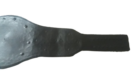 RAY'S IWGP World Heavyweight Wrestling Championship Replica Belt