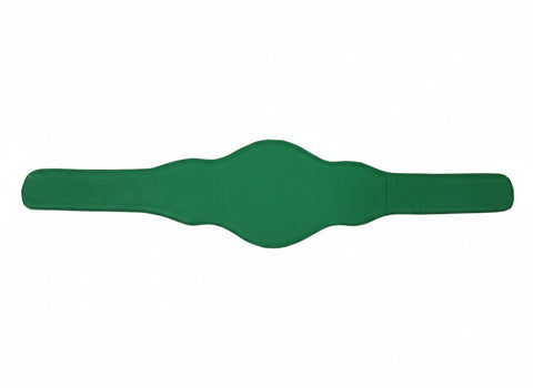 RAY'S WBC CHAMPIONSHIP REPLICA BELT