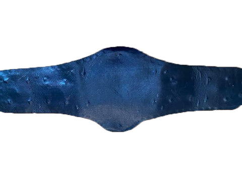 RAY'S TRIPLE CROWN CHAMPIONSHIP WRESTLING REPLICA BELT