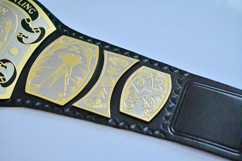 RAY'S UNIVERSAL TV CHAMPION REPLICA BELT