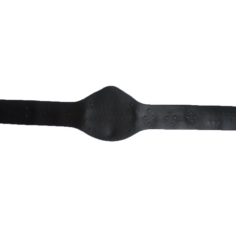 RAY'S INTERNATIONAL CHAMPION WRESTLING REPLICA BELT ADULT SIZE