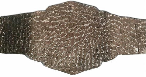 RAY'S World Class Wrestling Association Championship Replica Belt