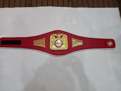 RAY'S USBA BOXING REPLICA BELT ADULT SIZE