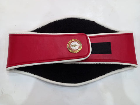 RAY'S USBA BOXING REPLICA BELT ADULT SIZE