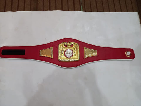 RAY'S USBA BOXING REPLICA BELT ADULT SIZE