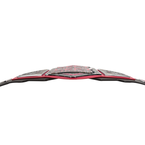 RAYS LEFT RIGHT BELT ADULT SIZE