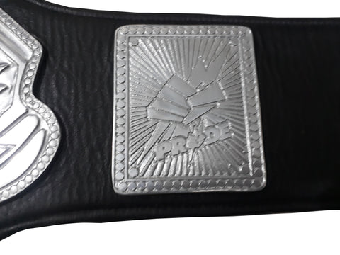 RAY'S PRIDE LIGHT WEIGHT CHAMPIONSHIP REPLICA BELT ADULT SIZE
