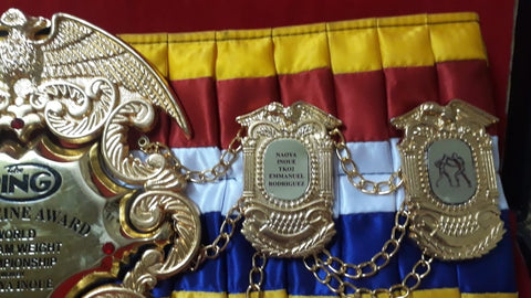 RAY'S RING MAGAZINE NAOYA INOUE REPLICA BELT ADULT SIZE