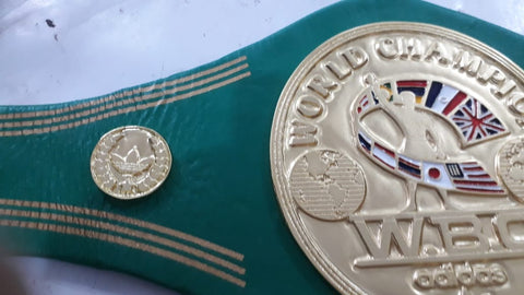 RAY'S W.B.C CHAMPIONSHIP REPLICA BELT ADULT SIZE