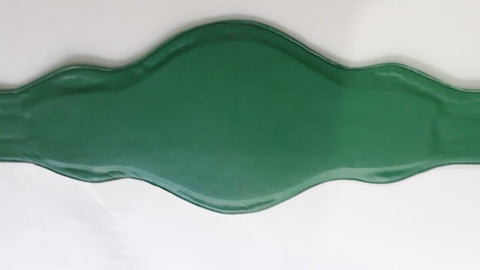 RAY'S WBC CONTINENTALCHAMPIONSHIP REPLICA BELT ADULT SIZE