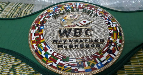 RAY'S WBC Money CHAMPIOSHIP REPLICA BELT ADULT SIZE