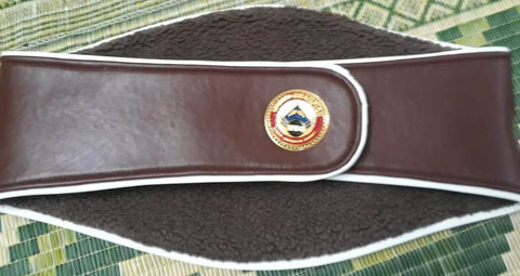 RAY'S WBO WORLD CHAMPIONSHIP REPLICA BELT