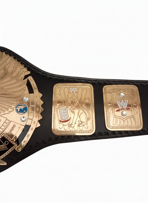 RAY'S World Heavyweight Championship Replica Belt
