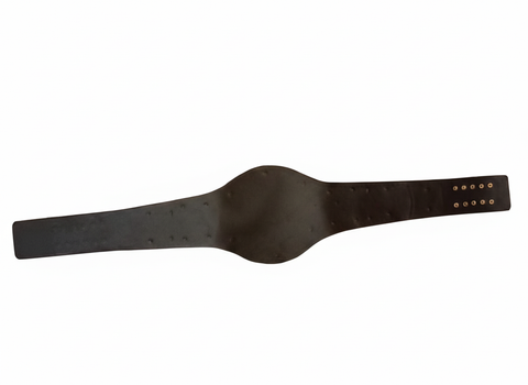 RAY'S World Heavyweight Championship Replica Belt