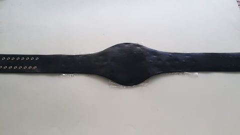 RAY'S FLORIDA WRESTLING CHAMPION REPLICA BELT