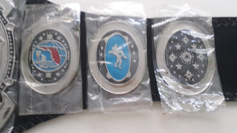 RAY'S FLORIDA WRESTLING CHAMPION REPLICA BELT