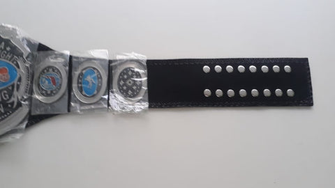 RAY'S FLORIDA WRESTLING CHAMPION REPLICA BELT