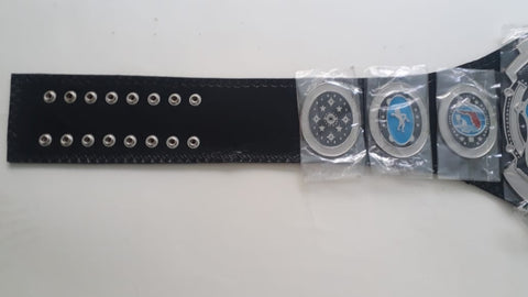 RAY'S FLORIDA WRESTLING CHAMPION REPLICA BELT