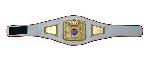 RAY'S PRO BOXING FEDERATION CHAMPIONSHIP REPLICA BELT ADULT SIZE