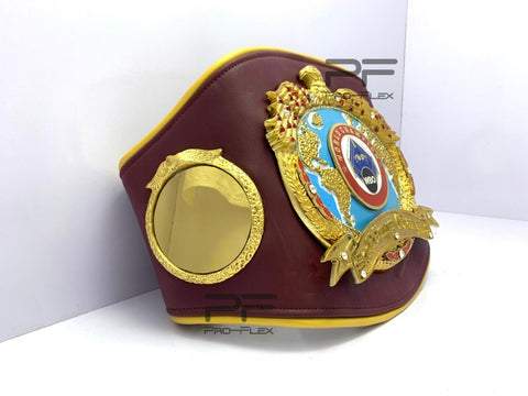 RAY'S WBO WORLD SUPER CHAMPIONSHIP REPLICA BELT